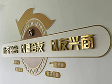 鈦金字文化墻_鈦金字標語