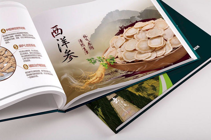 健康旅游管理公司招商畫冊設計