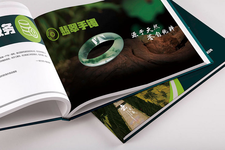 健康旅游管理公司招商畫冊設計