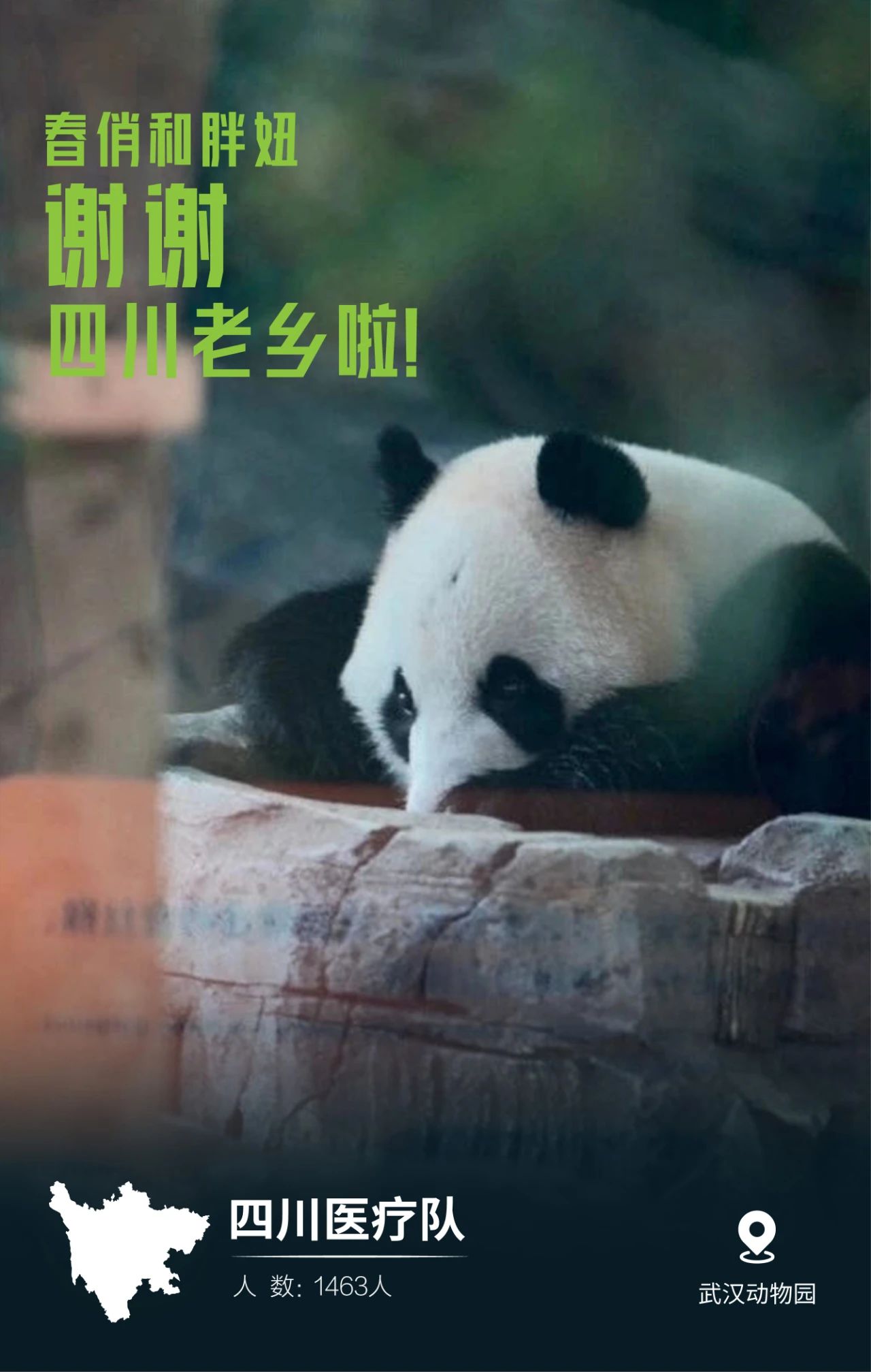31張馳援武漢醫(yī)療隊(duì)名片，向抗疫一線的英雄致敬
