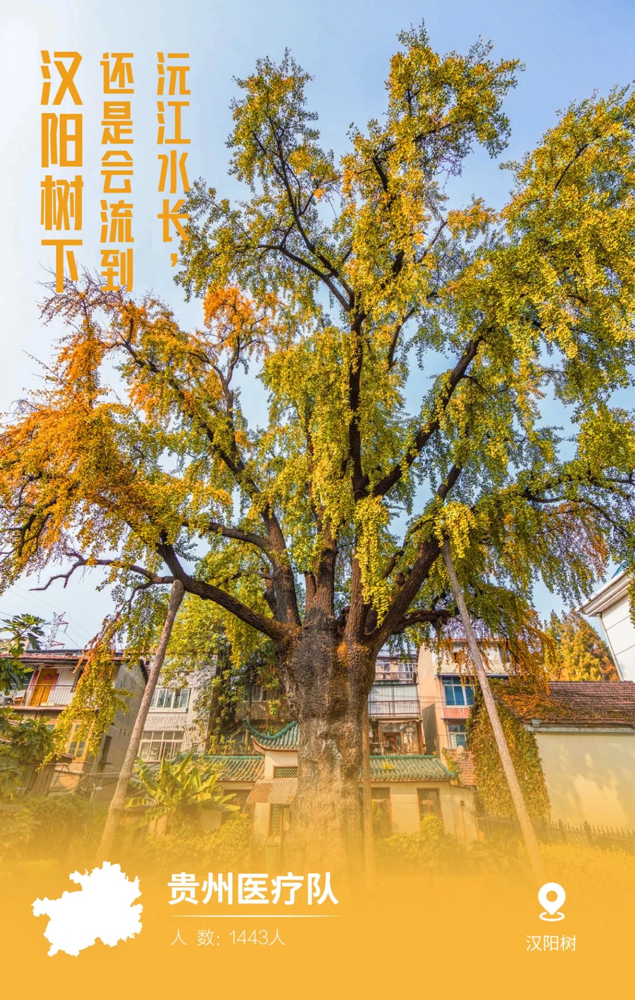 31張馳援武漢醫(yī)療隊(duì)名片，向抗疫一線的英雄致敬