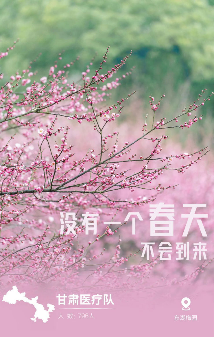 31張馳援武漢醫(yī)療隊(duì)名片，向抗疫一線的英雄致敬