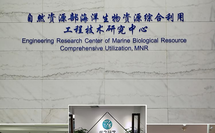 廈門形象墻制作公司-形象墻設計,形象墻制作,形象墻安裝為一體.辦公室logo墻制作,公司形象墻制作,企業背景墻制作